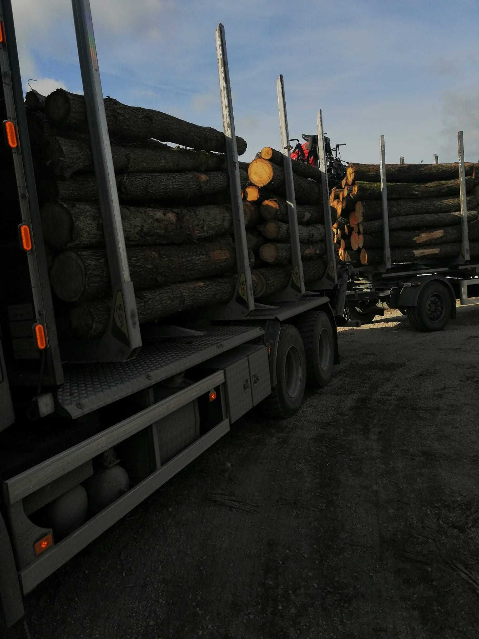 PIĘKNY DĄB - najlepsze drewno opałowe kominkowe, wałki 2,5m !OKAZJA!