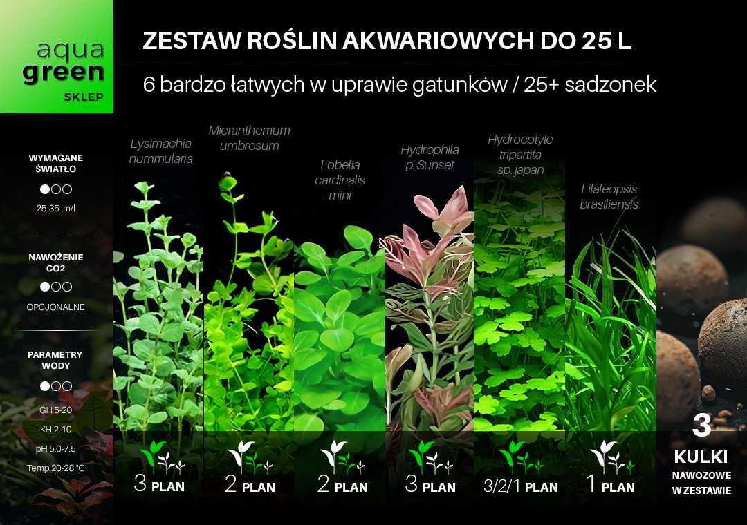 Zestaw roślin do akwarium - 6+ gatunków, dużo sadzonek + GRATIS