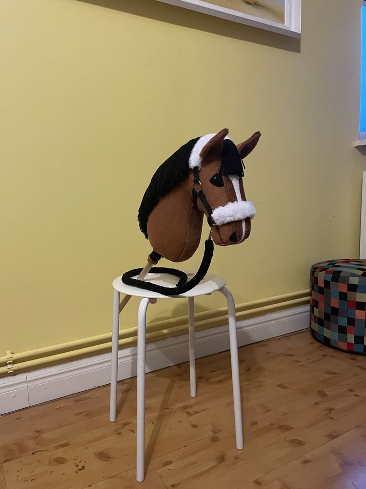 Hobby horse koń na kiju