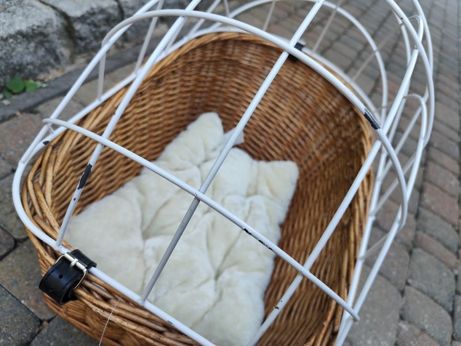 Aumüller solidny kosz na bagażnik rowerowy dla psów do 15 kg