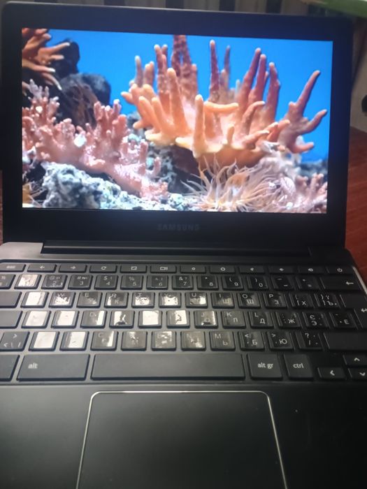 хромбук самсунг для блекаута