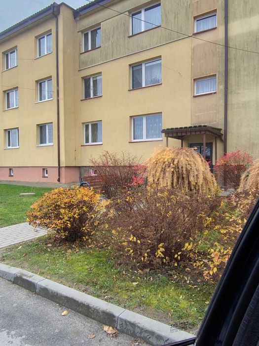 Mieszkanie 3-pokojowe na parterze w niskim bloku.