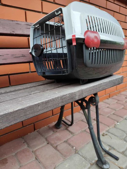 transporter dla kota