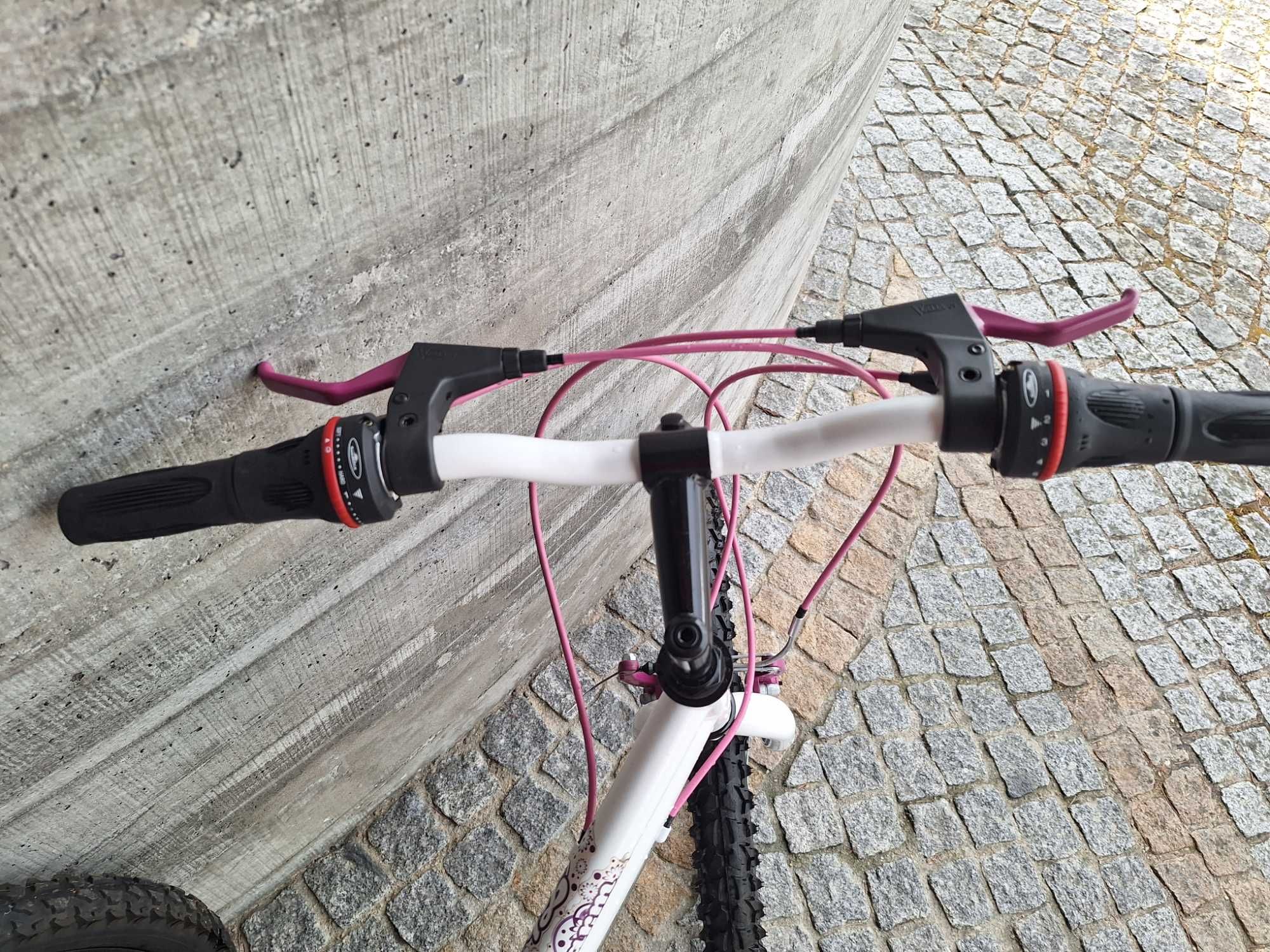 Bicicleta BERG Charm