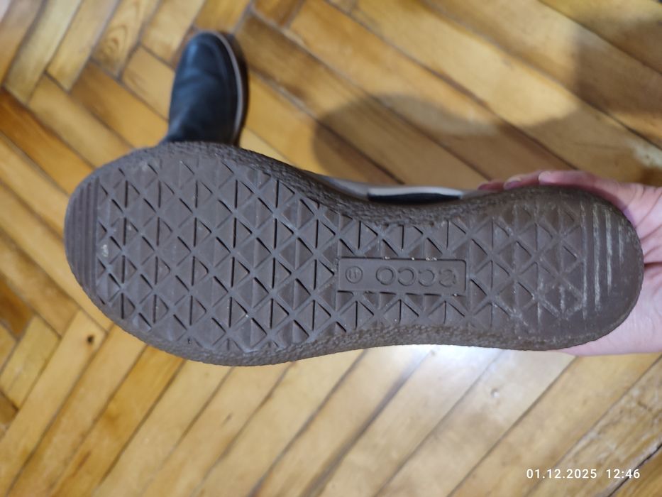 Полусапожки ЭККО