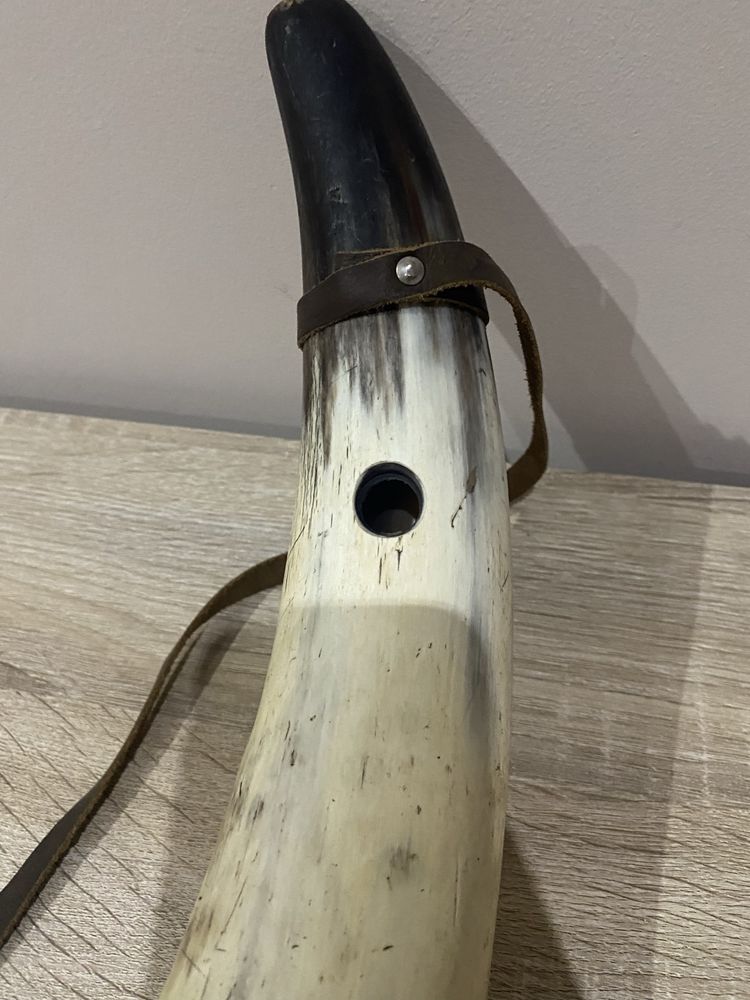 Corno raro de porte grande