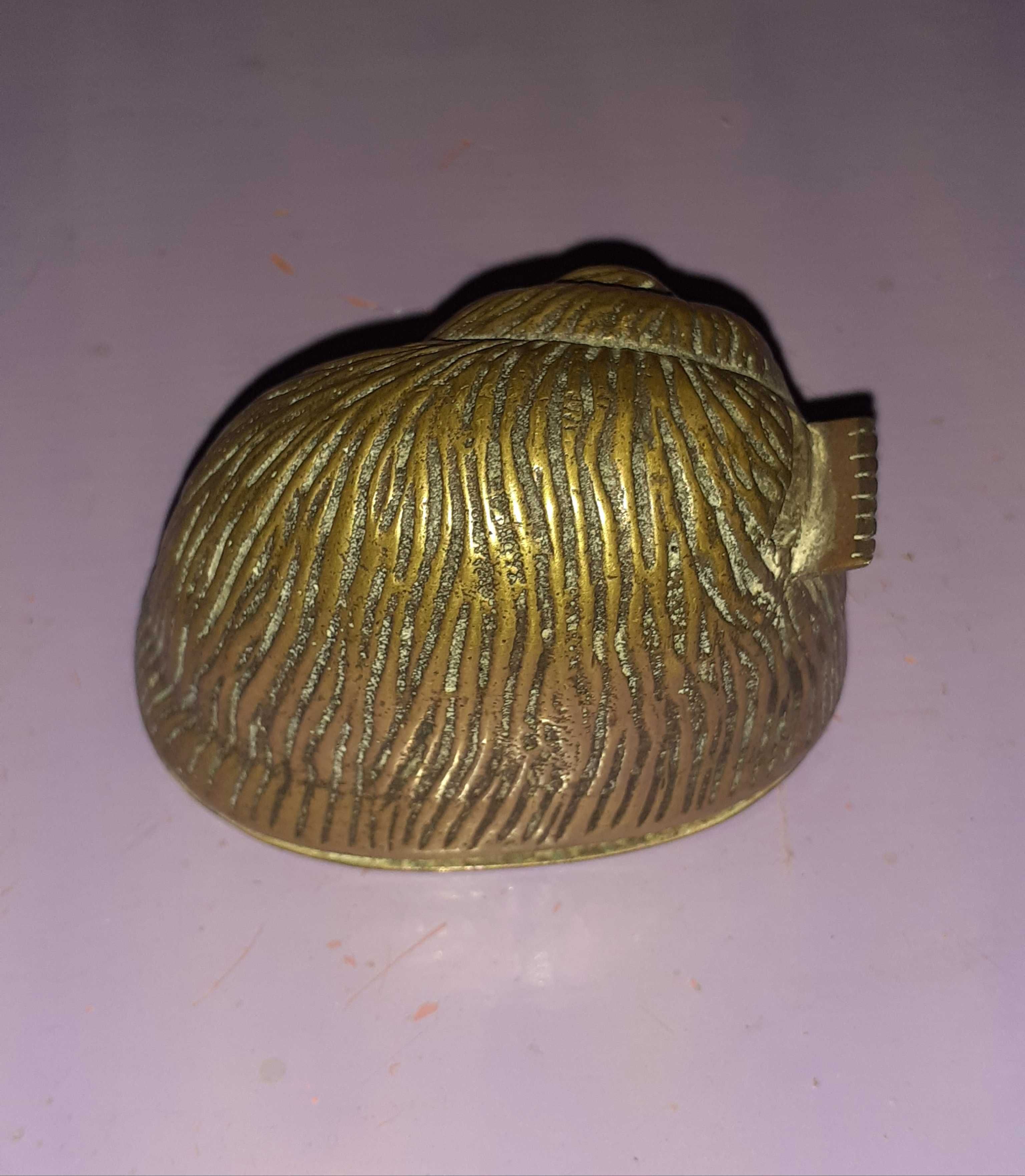 Caracol Bronze Antigo/fita cola