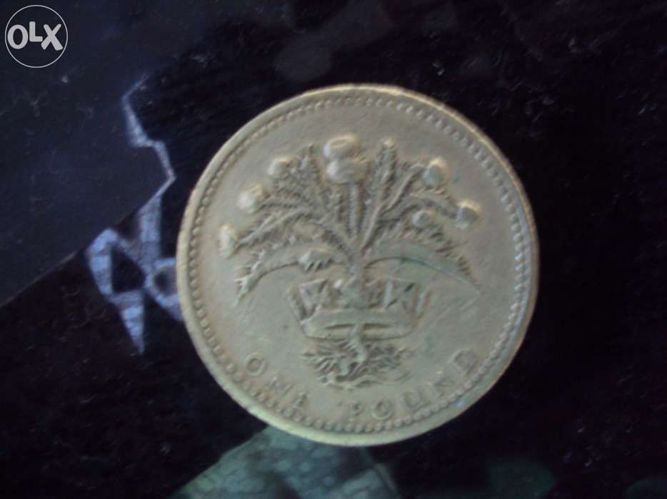 Moeda Elizabeth II 1984 - 1 pound