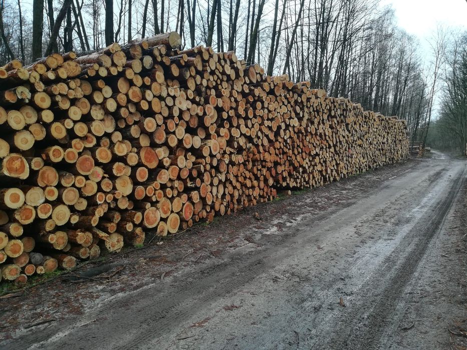 Drewno Kominkowe, drewno opałowe, drewno do kominka, opał, drewno.