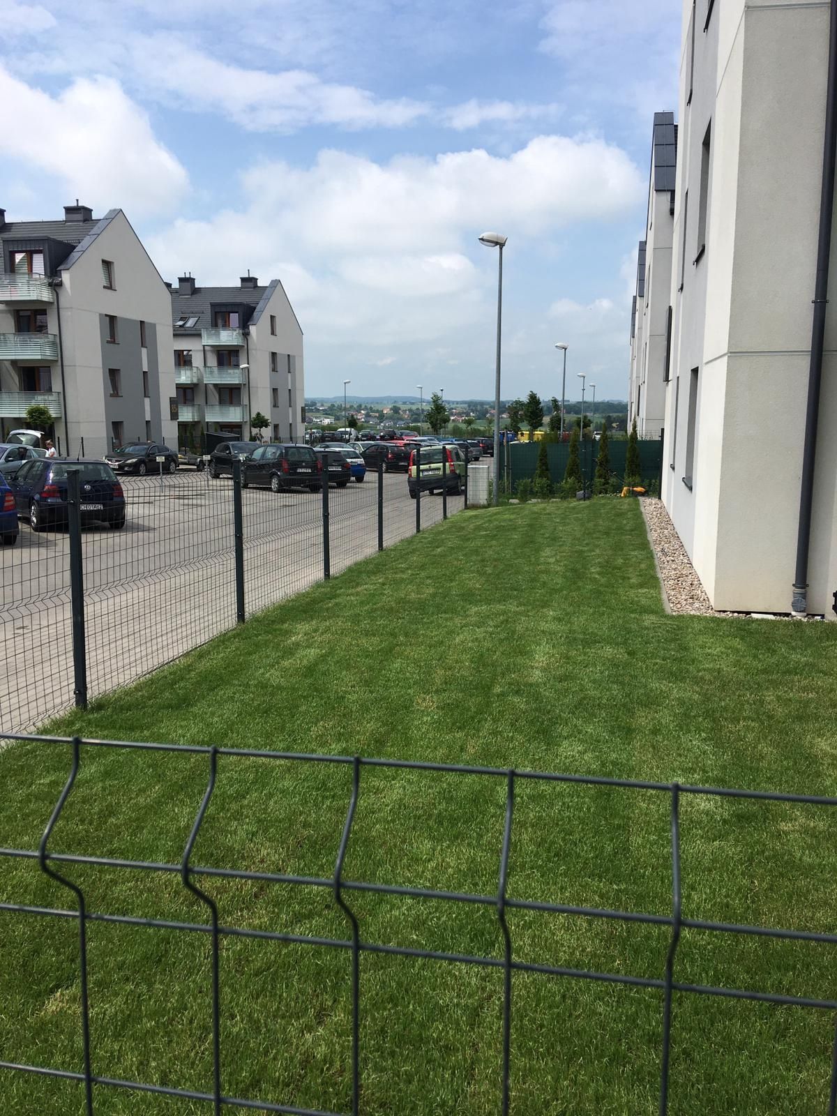 Trawa z rolki Roll_Grass