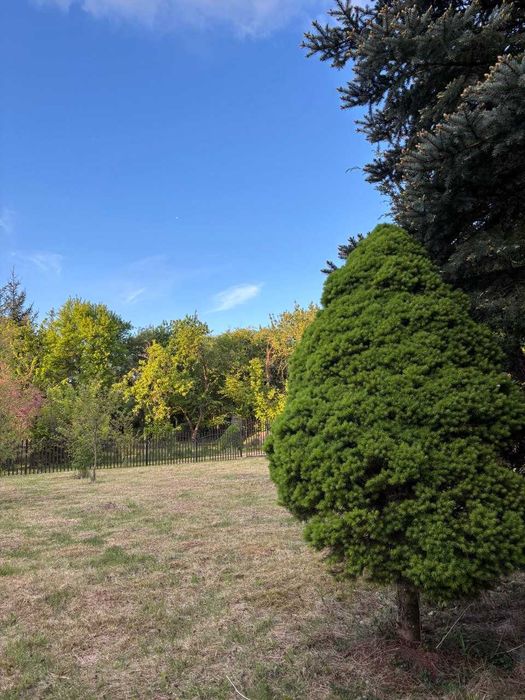 Działka ROD 400 m² + opcja zakupu z działką obok (łącznie 800 m²)