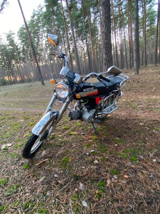 Мустанг мт 110-2 2013рік