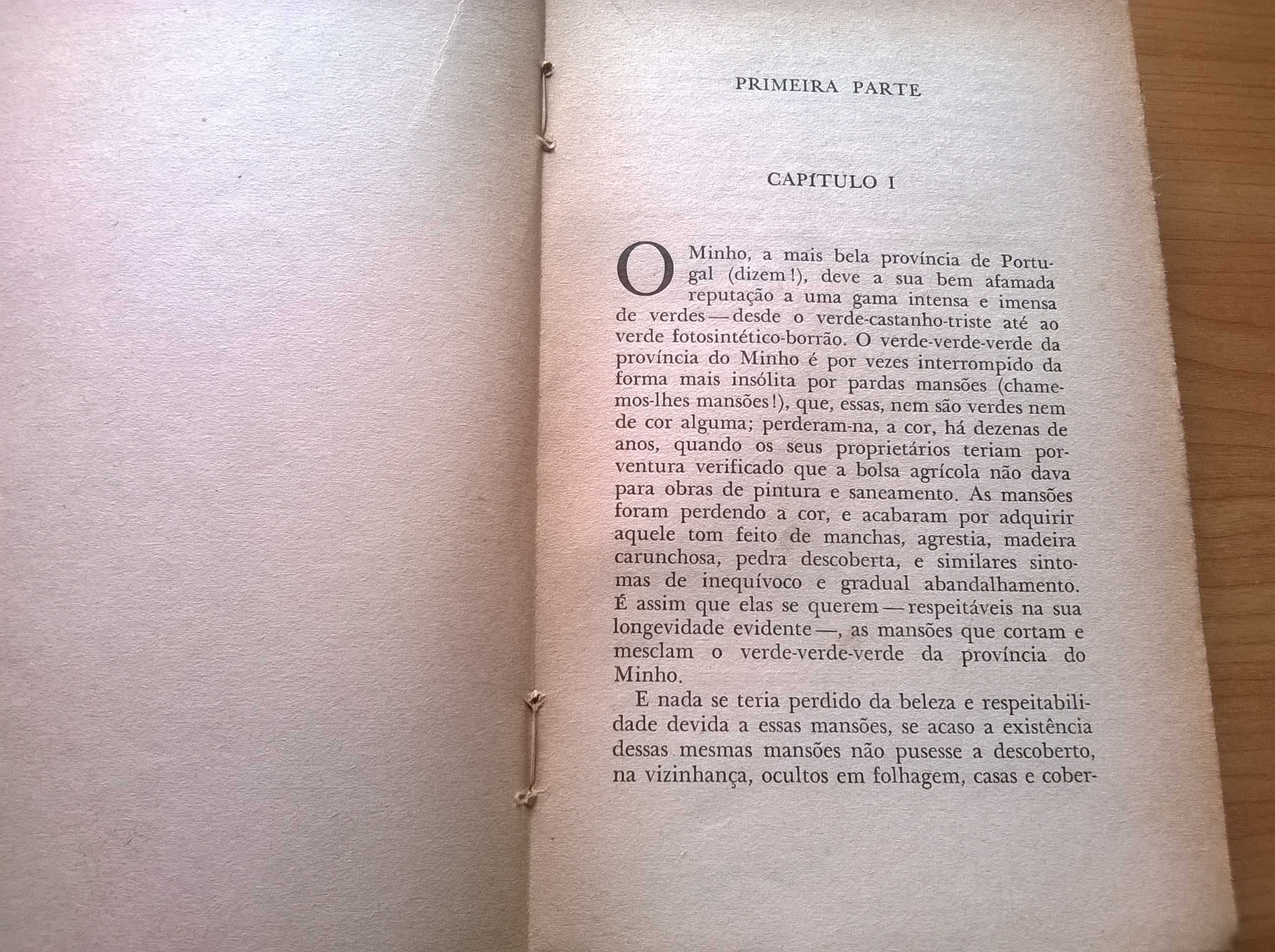 A Gata e a Fábula (1.ª ed.) - Fernanda Botelho