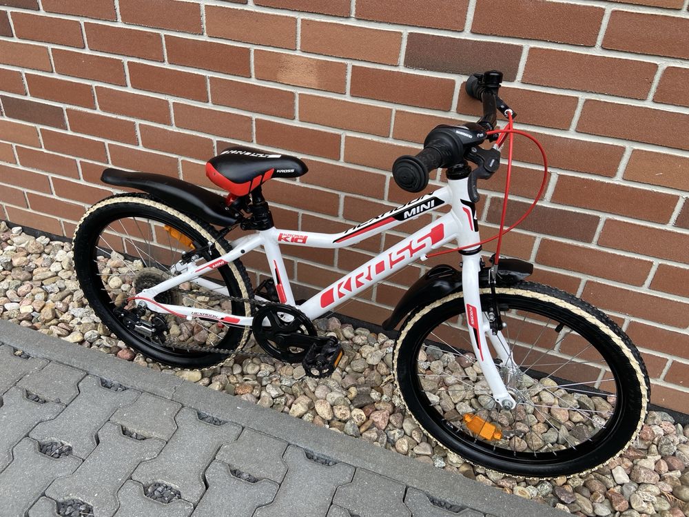 Rower Kross Hexagon 20 cali