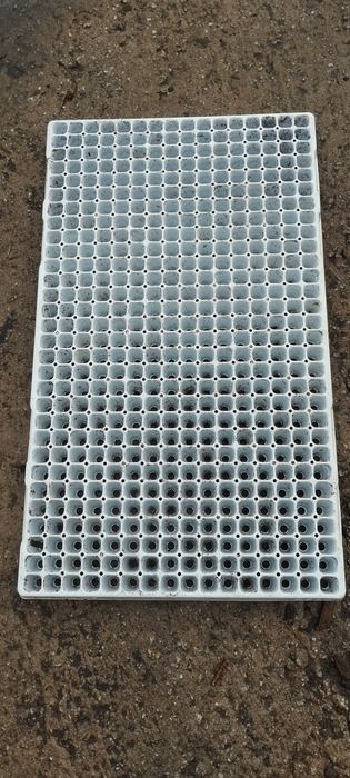 Multiplaty do wysiewu