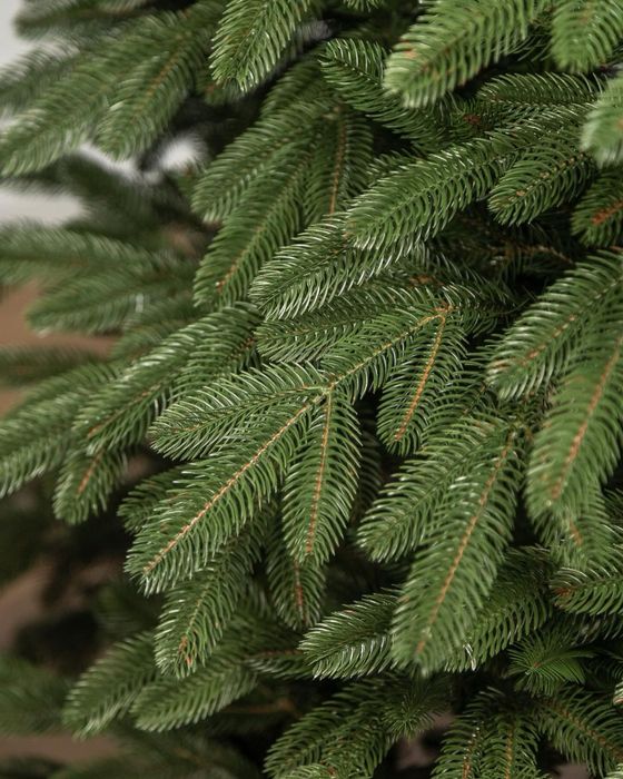 Ялинка лита "Лапландська" Зелена