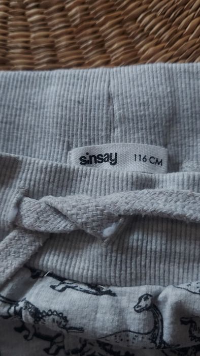 Spodnie cotton joggers popiel print dino jak nowe r 116