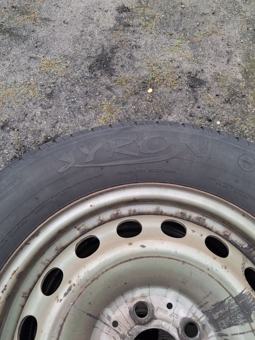 Opony wielosezonowe do busa