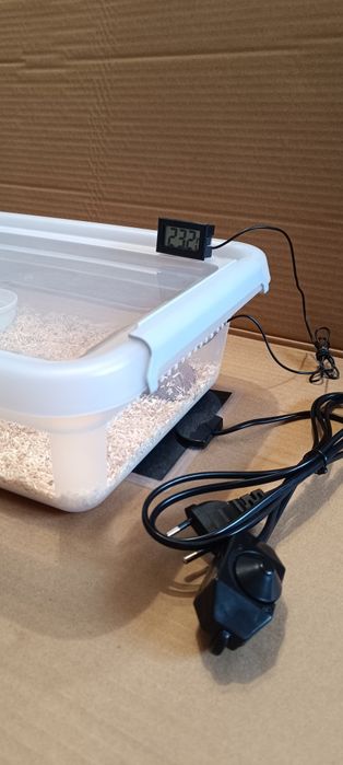 Box dla węża (terrarium) zestaw