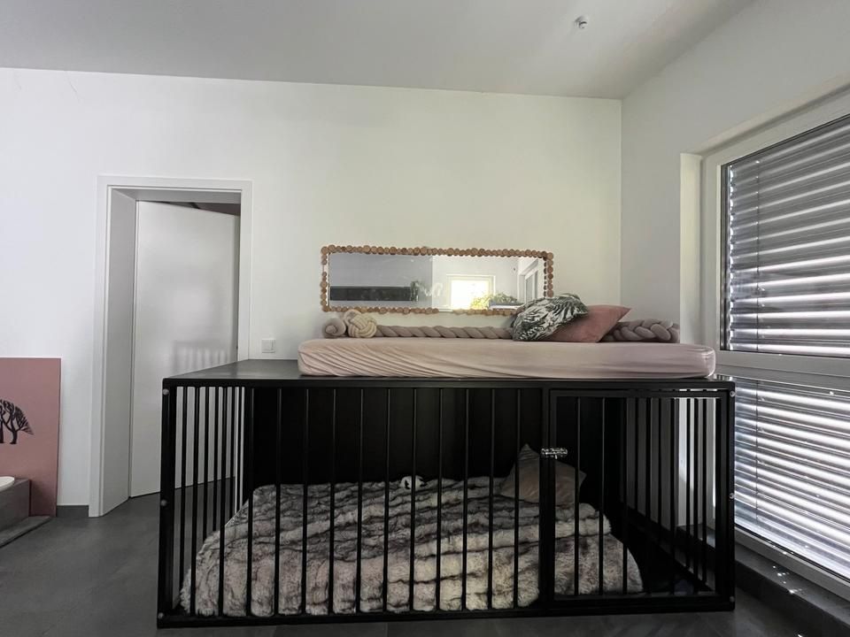 Kojec dla Psa / 240 cm x 100 cm Pokój dla Psa / Wysyłka