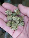 Susz CBD Amnesia Special GH 50g