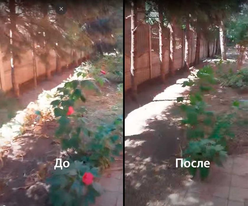 Комплексная уборка земельных и дачных участков по Кривому Рогу.