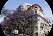 Apartamento na Avenida Dom Carlos I, Lisboa