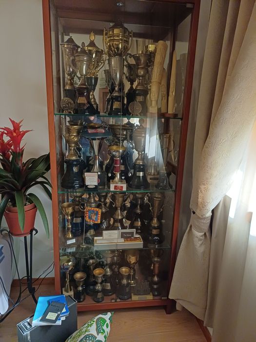 Estante simples em madeira e vidro