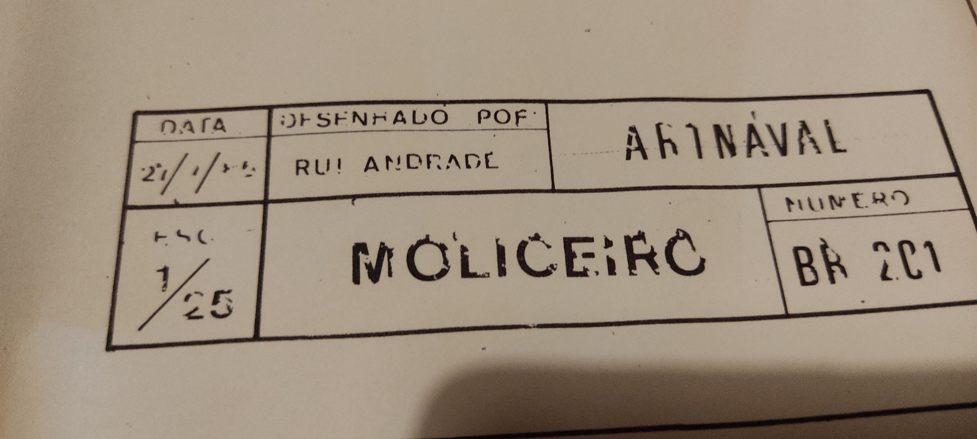 Barco português Moliceiro