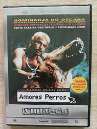 Film VCD Amores Perros