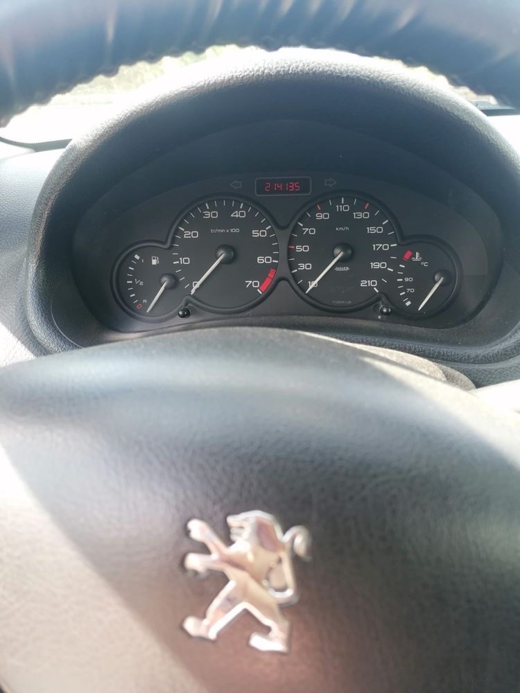 Peugeot 206 1.1 gasolina