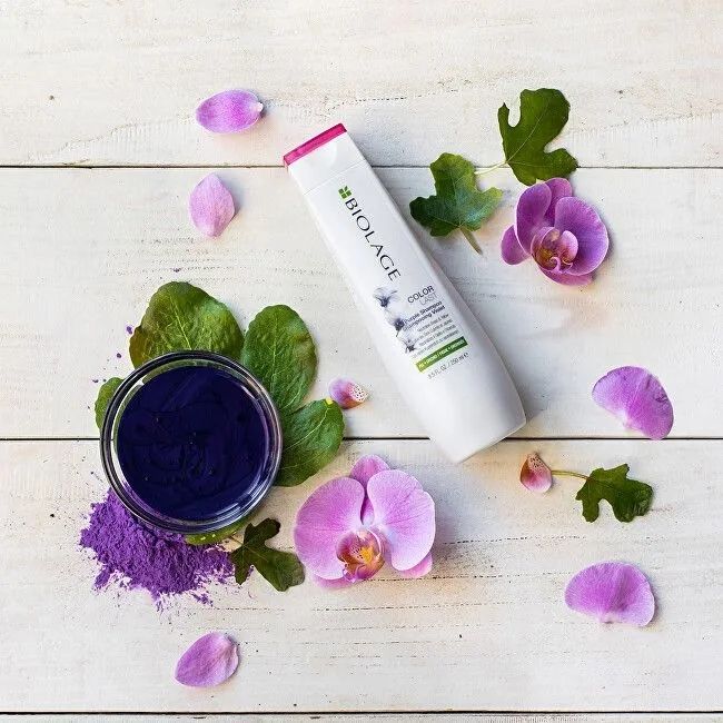 Fioletowy Szampon Matrix Biolage ColorLast Włosy Blond Siwe 250ml