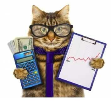 Послуги бухгалтера . Бухгалтерський, кадровий облік, звіти. ФОП та ЮО