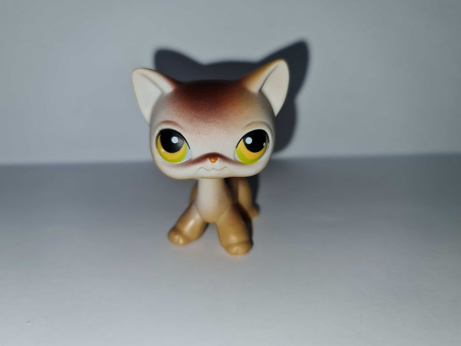 Oryginalny Littlest pet shop brązowy kot shorthair #19 LPS