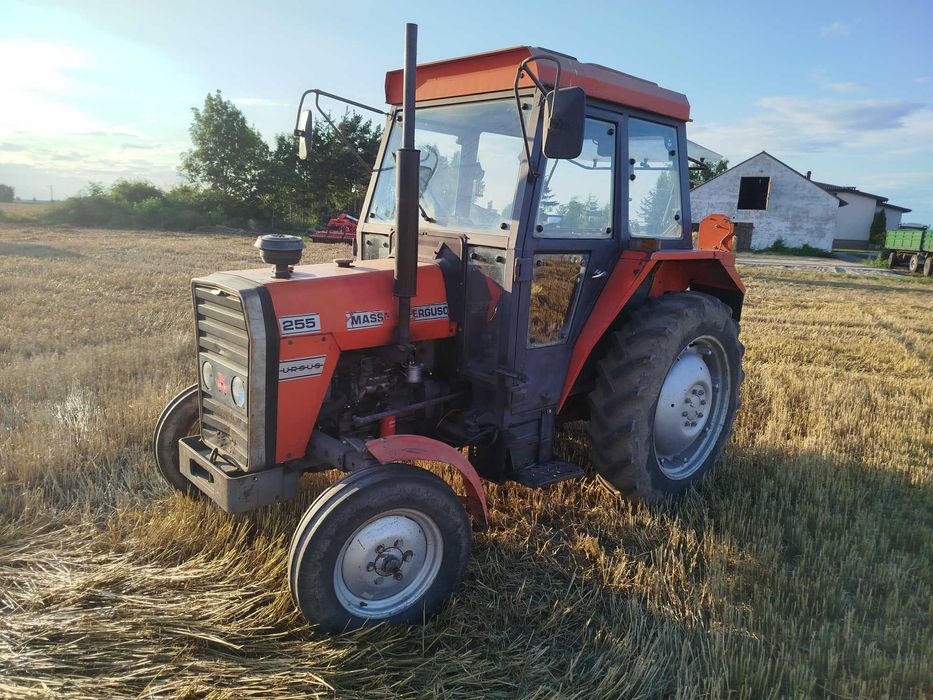 Ciągnik MF 255  ursus 3512