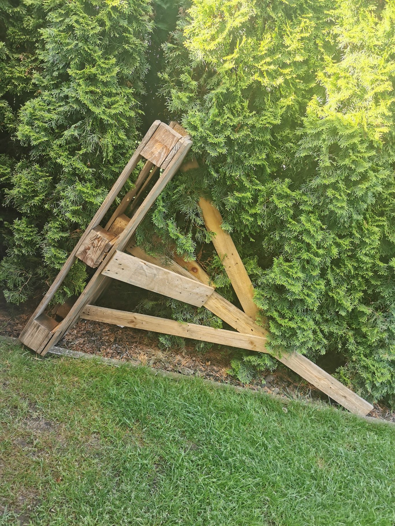 Gres oddam za darmo