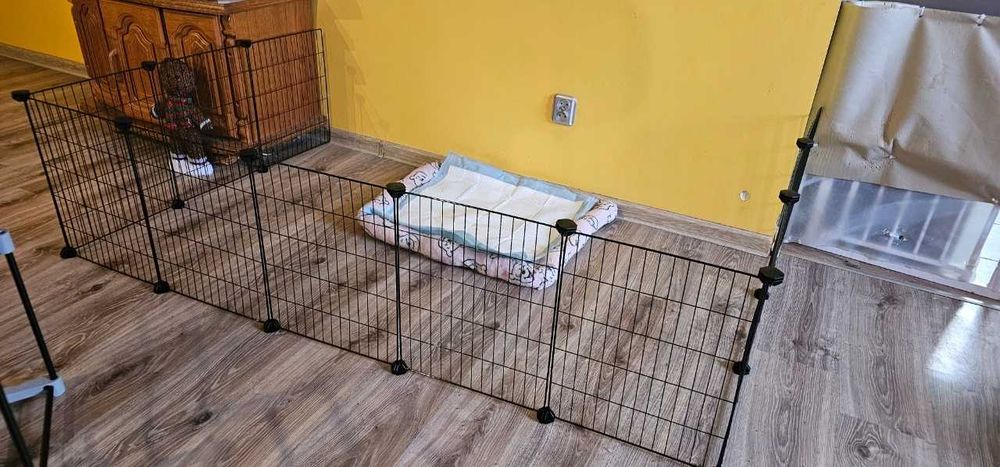 TANI duży stalowy kojec XXL przeznaczony dla szczeniaków młodych psów