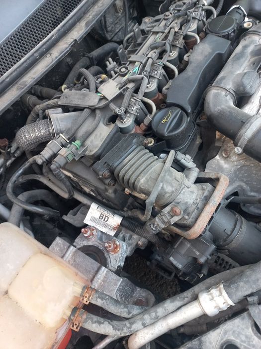 Форд фокус 2009рік