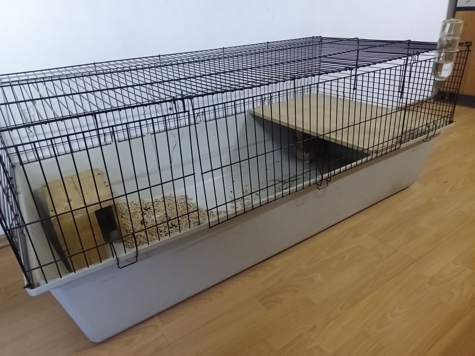 Duża klatka dla królika chomików świnki morskiej