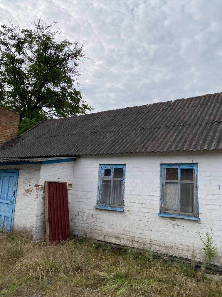 Будинок в селі Благодатне