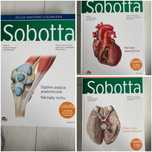 3 atlasy anatomiczne Sobotta