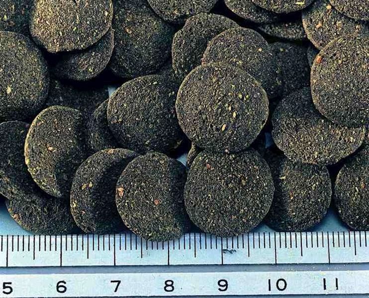 Hikari Algae Wafers 20gr.