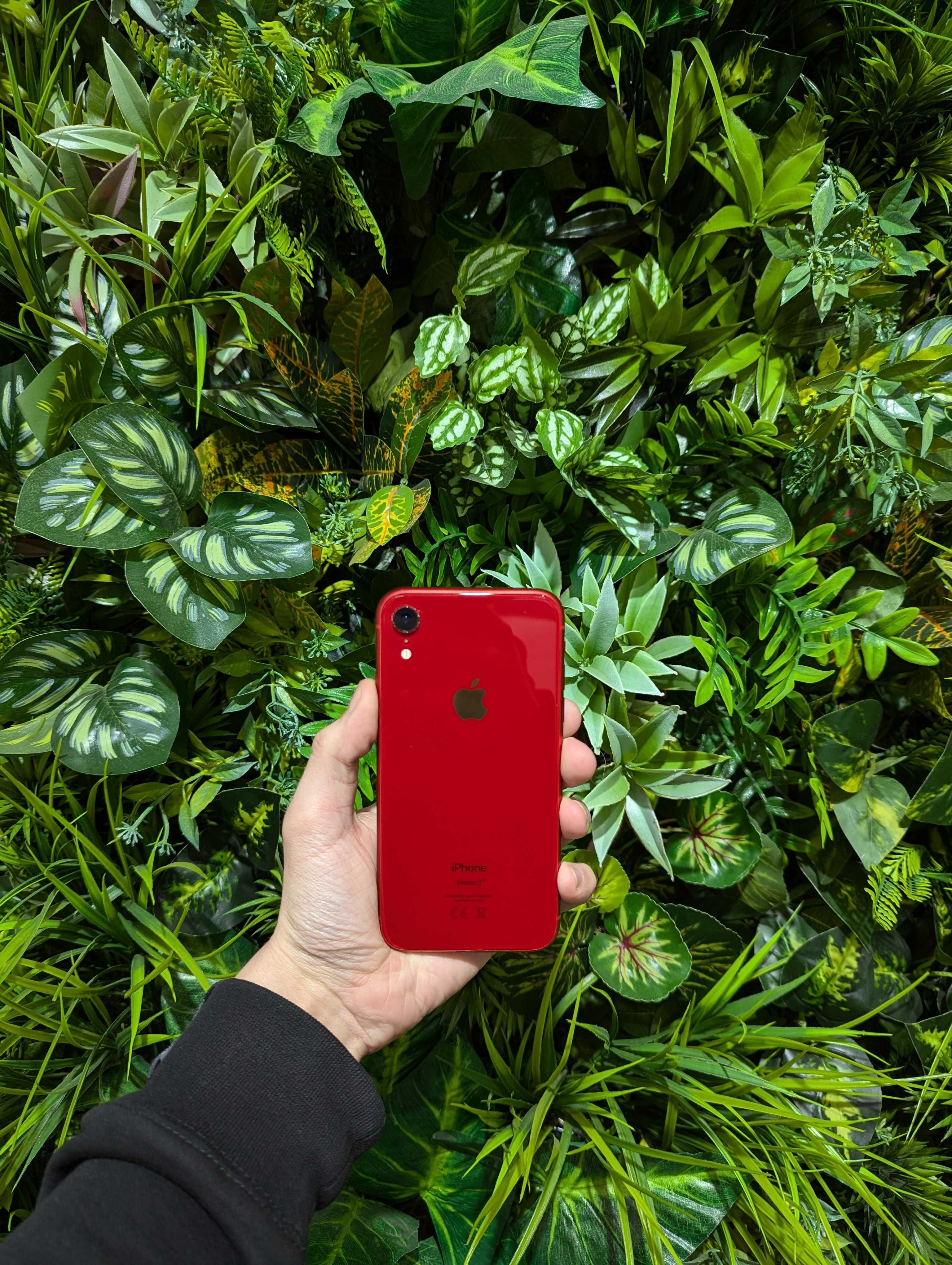Магазин:Yablunka- Iphone XR 81%/64Gb