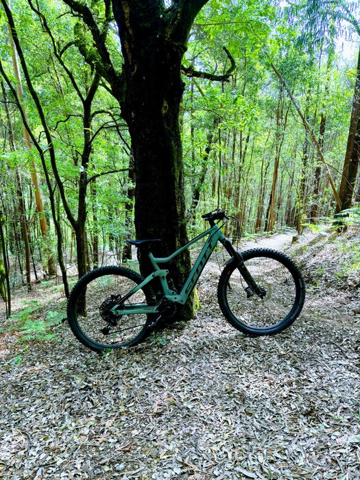 Scott Genius 920 Eride