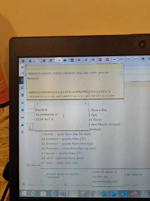 Portatil Toshiba Satellite