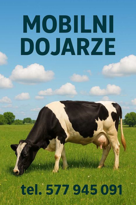 Mobilni dojarze - W końcu możesz jechać na wakacje!