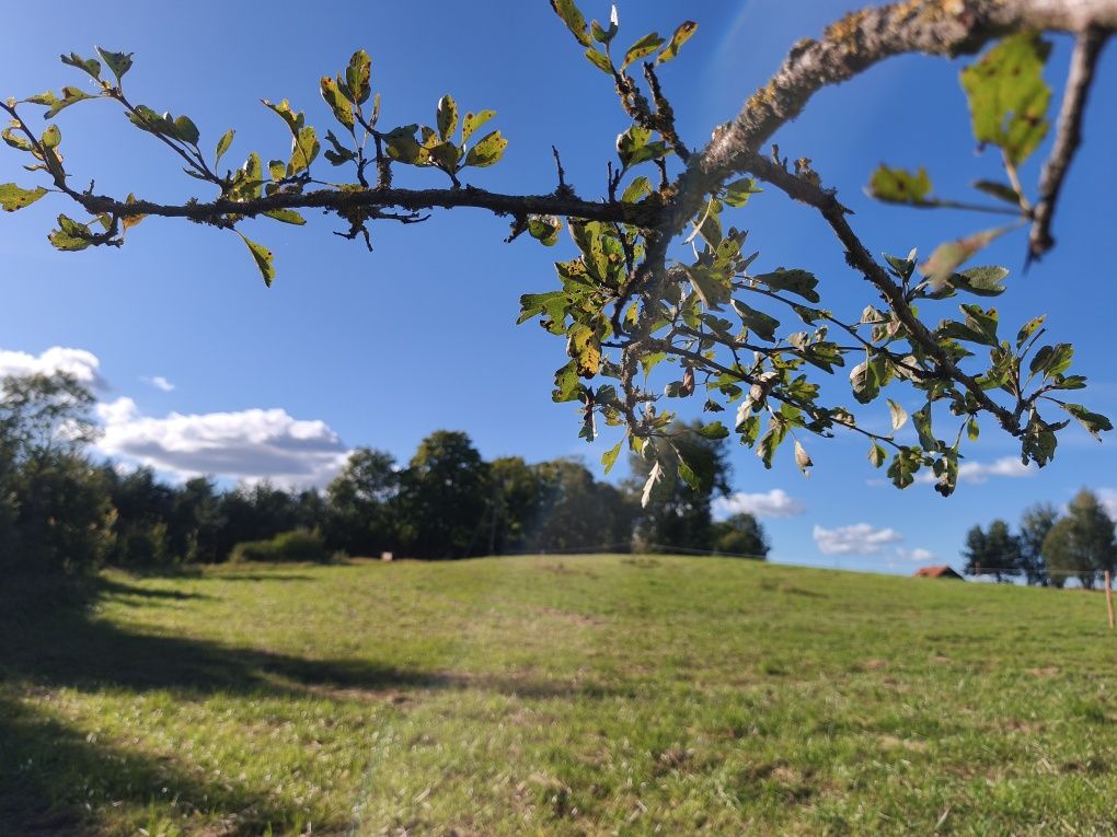 Piękne działki w okolicy jeziora Narie. Cisza natura. Super inwestycja
