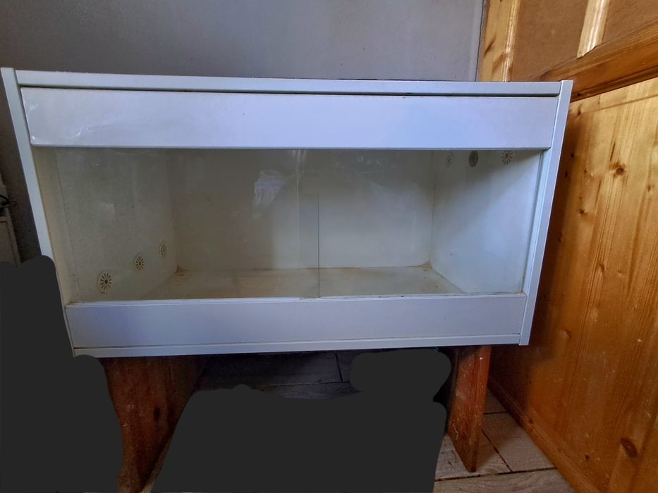 Terarium dla jeża pigmejskiego