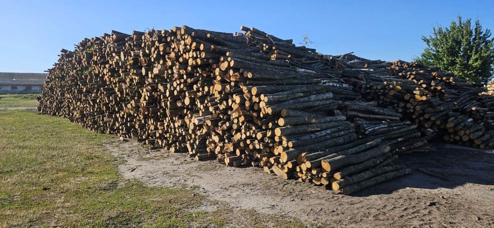 Дрова в великому обємі 750грн складометр