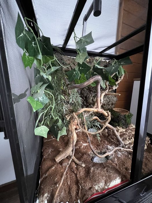 ExoTerra terrarium